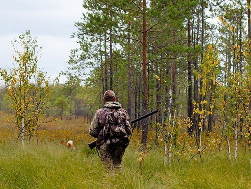 Мужчина застрелил охотника в «проклятом лесу» Чимишлийского района