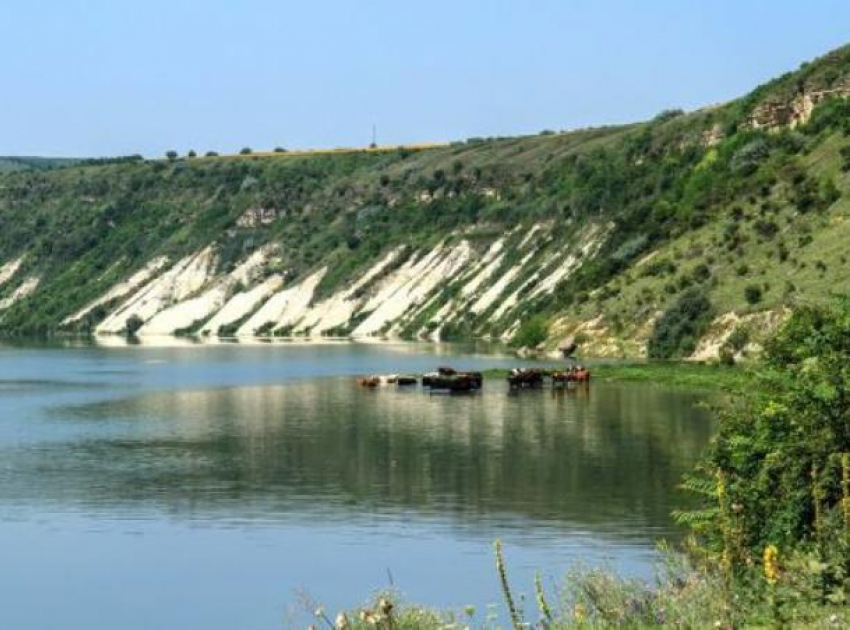 Озера и малые реки в Молдове остались практически без воды