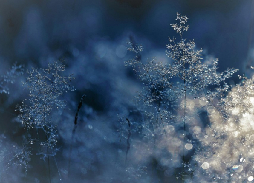 В Молдову ожидается резкое похолодание до −20 °C