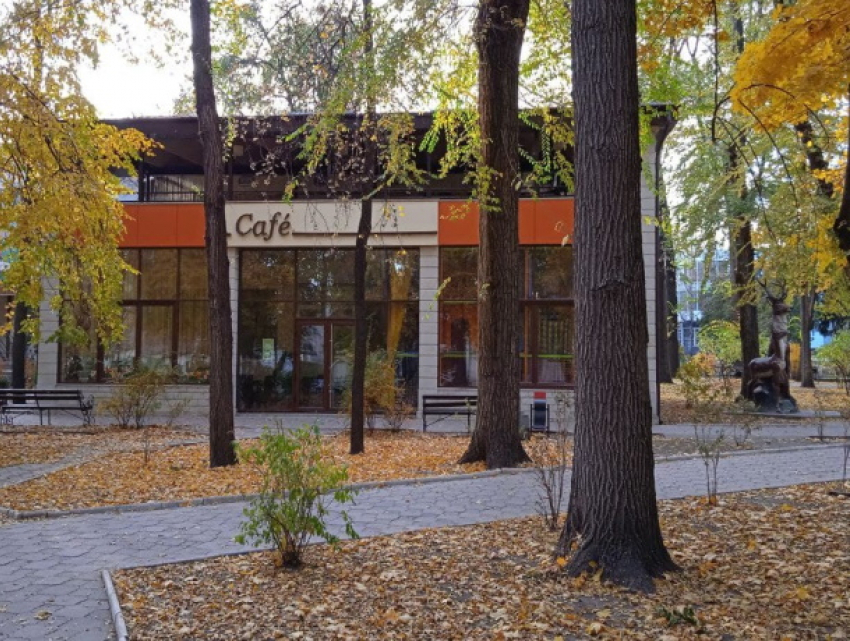 Вот что происходит на захваченных территориях центрального парка в Бельцах