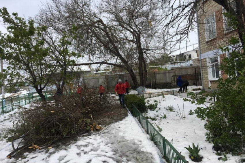 ПСРМ мобилизовала добровольцев для расчистки Комрата от упавших деревьев и проводов