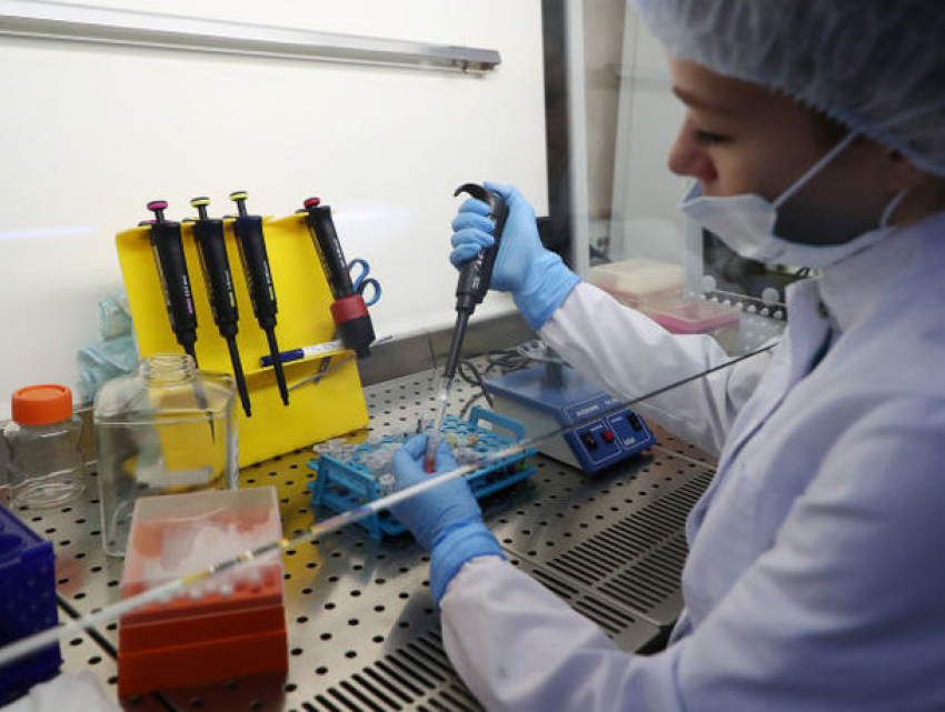 В Молдове выявлено 746 новых случаев COVID-19 