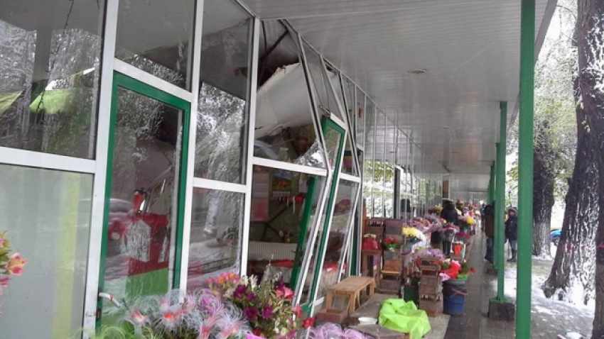 В центре Кишинева дерево упало на цветочный бутик