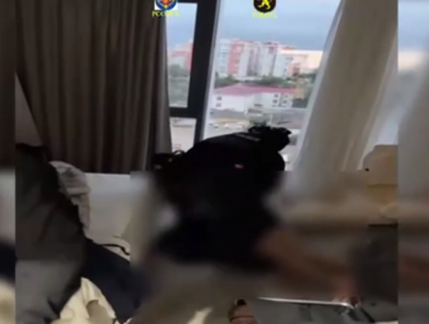 В Молдове ликвидирована сеть нелегальных онлайн-казино с оборотом 25 миллионов леев