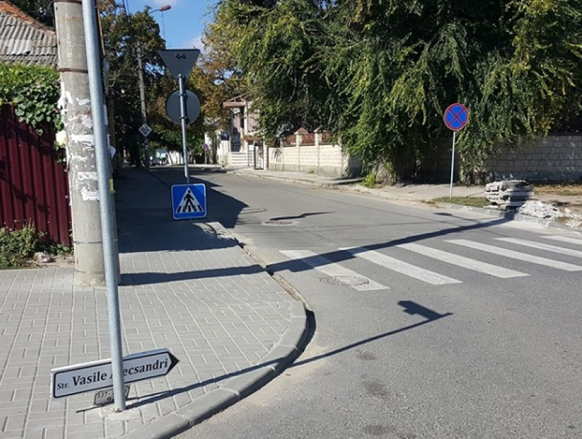 Дорожные знаки для змей-пешеходов и любителей смартфонов обнаружили в Кишиневе 