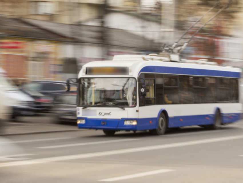 Молодые кишиневцы создали приложение для улучшения работы общественного транспорта столицы