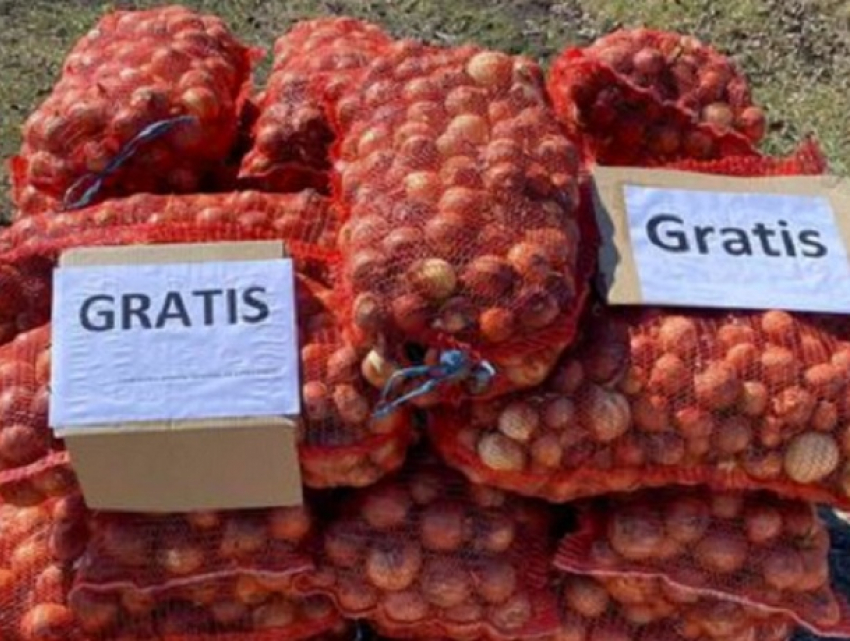 Фермер из Окницкого района раздает лук бесплатно - некому продавать