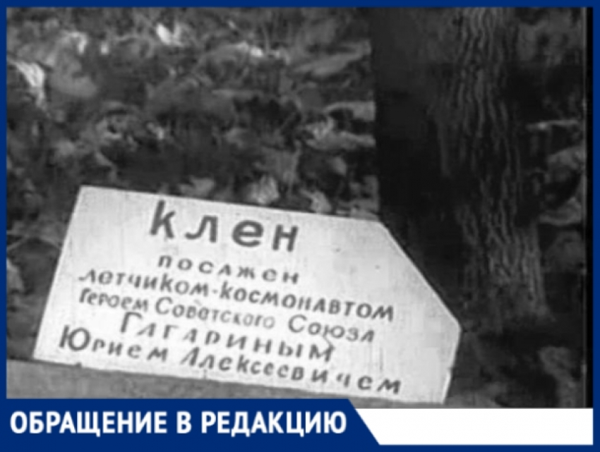 Дерево Гагарина в Кишиневе: табличка установлена не там - «Кадетское Братство"