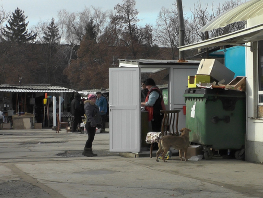На покупку мусоровоза в Леово предложили скинуться всем миром 