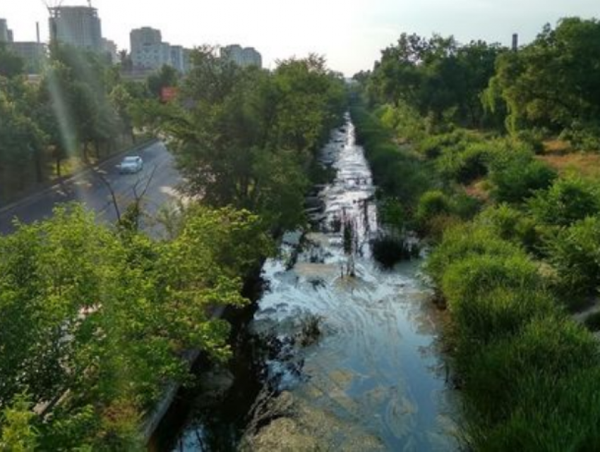 Речку Бык очистят в этом году, улица Албишоара – отремонтируют