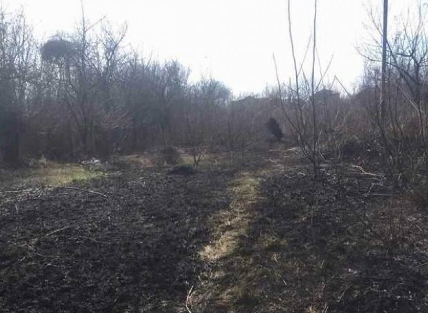 За минувшие сутки в Молдове сгорели 350 гектаров растительности