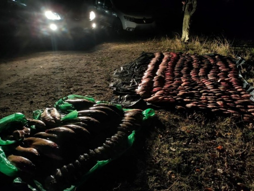 На украинской границе задержали гражданина Молдовы с 220 кг рыбы