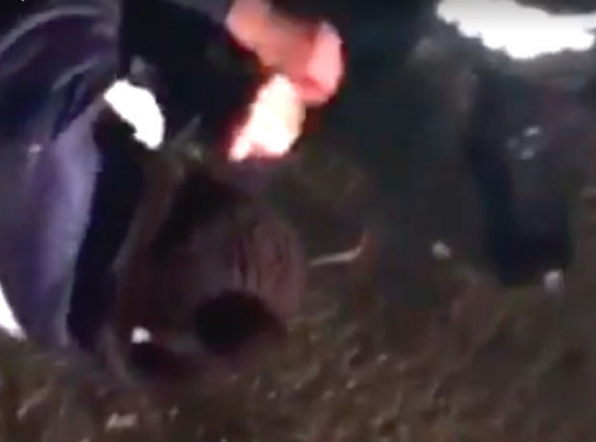 Жестокое избиение задержанного водителя в Окнице попало на видео