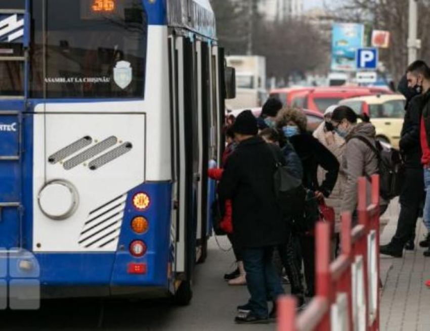 Полиция усилит борьбу с автомобилями, ездящими по полосам для общественного транспорта