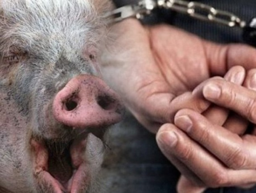 Убийства в Березках: появились новые подозреваемые