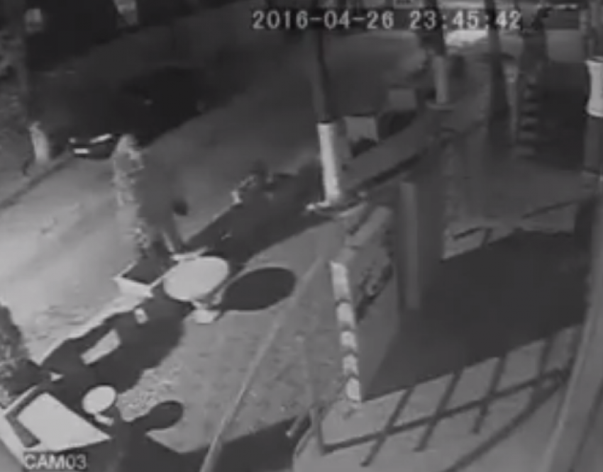 Вслед за бордюрами в Кишиневе начали воровать и декоративные деревья 