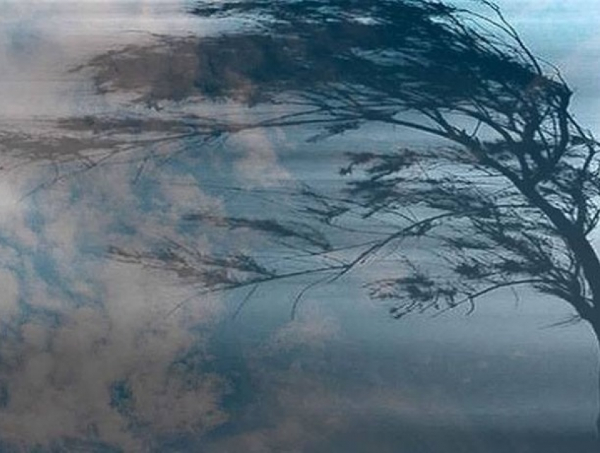 Введен “желтый уровень” метеоопасности из-за сильного ветра