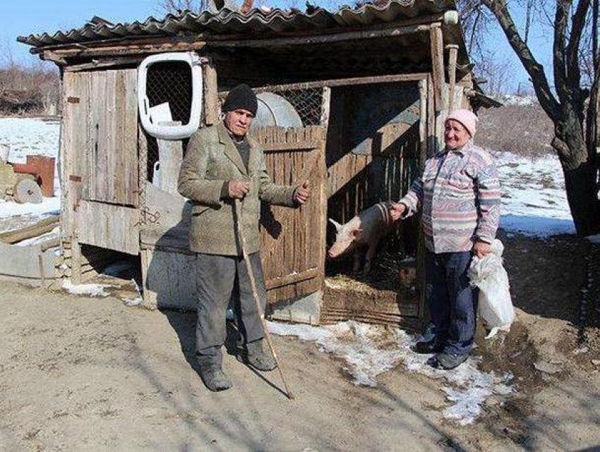 Серию краж инструментов и поросят в Кантемирском районе совершили двое мужчин