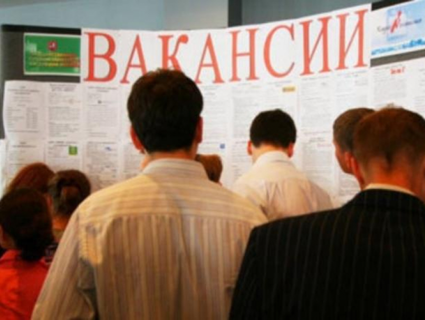 Для беженцев из Украины молдавские компании подготовили рабочие места