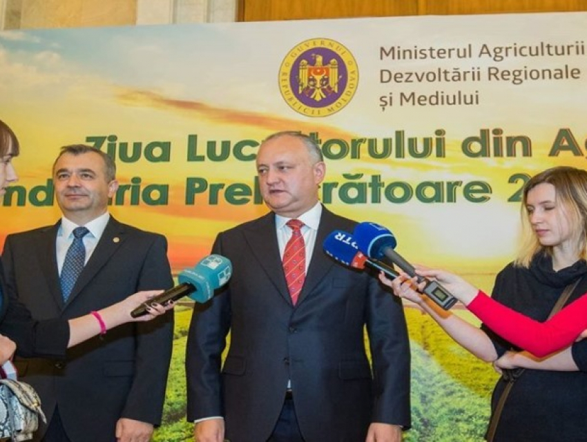 Президент назвал условия эффективного развития сельского хозяйства Молдовы