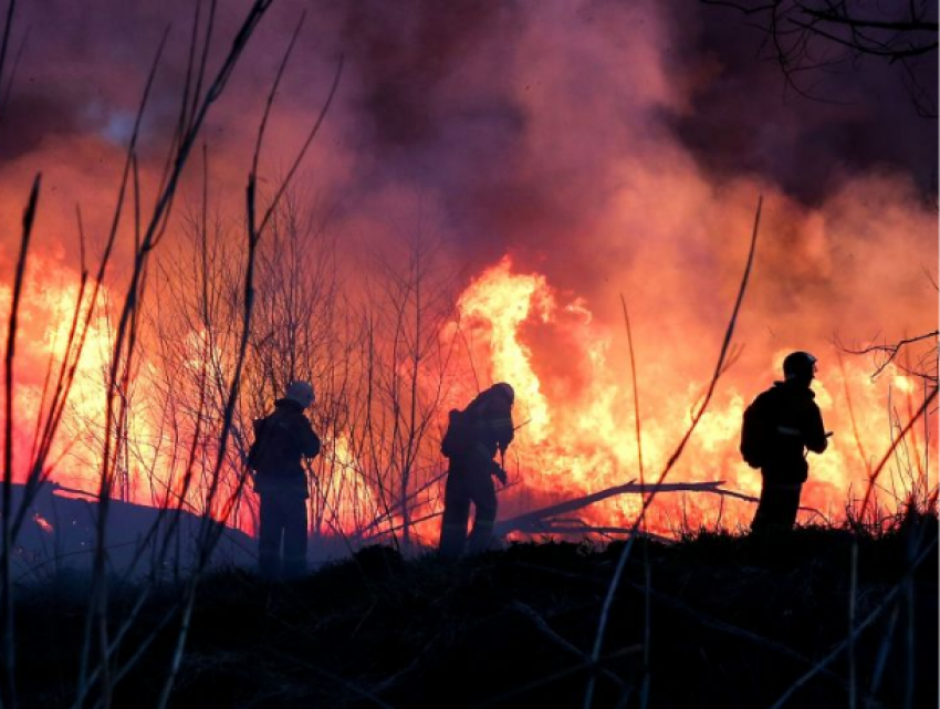 Десятки пожаров зарегистрированы по всей республике за последние 24 часа