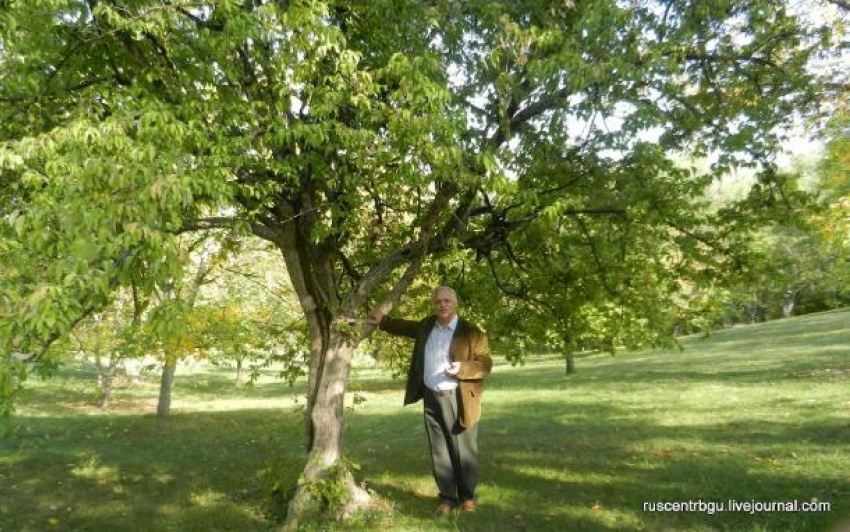 У золотого дерева Земфиры… (21 сентября – 205 лет со дня приезда  опального А. С. Пушкина в Бессарабию)