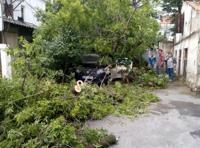 Минувшей ночью в Кишиневе упавшее дерево придавило машину