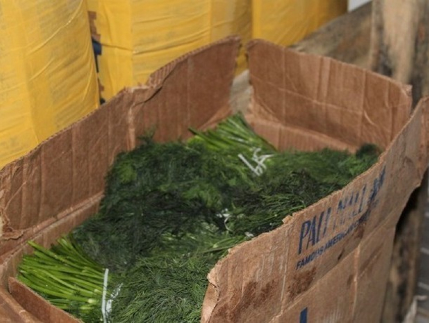 18 тонн подозрительных укропа и петрушки из Узбекистана запретили ввезти в Молдову