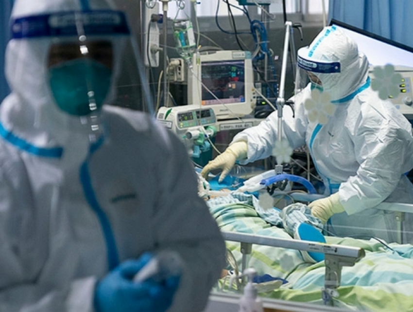 В Молдове выявлено 447 новых случаев COVID-19 