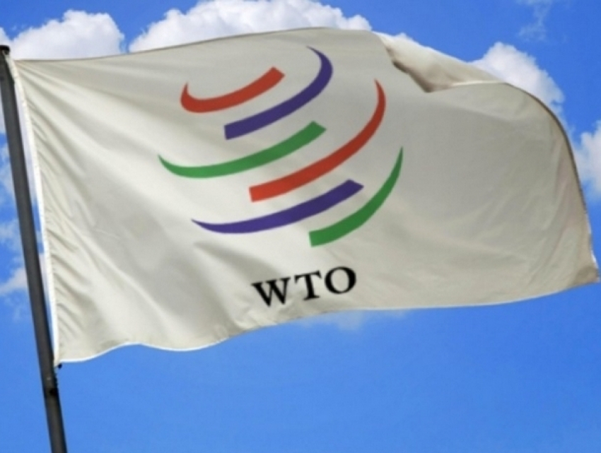 В МИДЕИ пояснили сдержанную позицию по присоединению Великобритании к соглашению о госзакупках в рамках ВТО