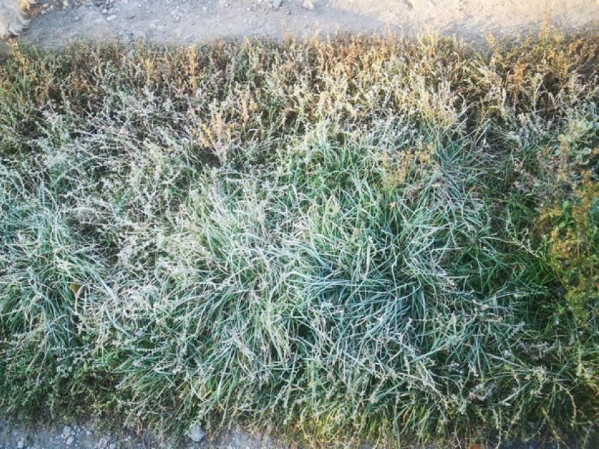 В Молдове ожидаются заморозки – погода на субботу 