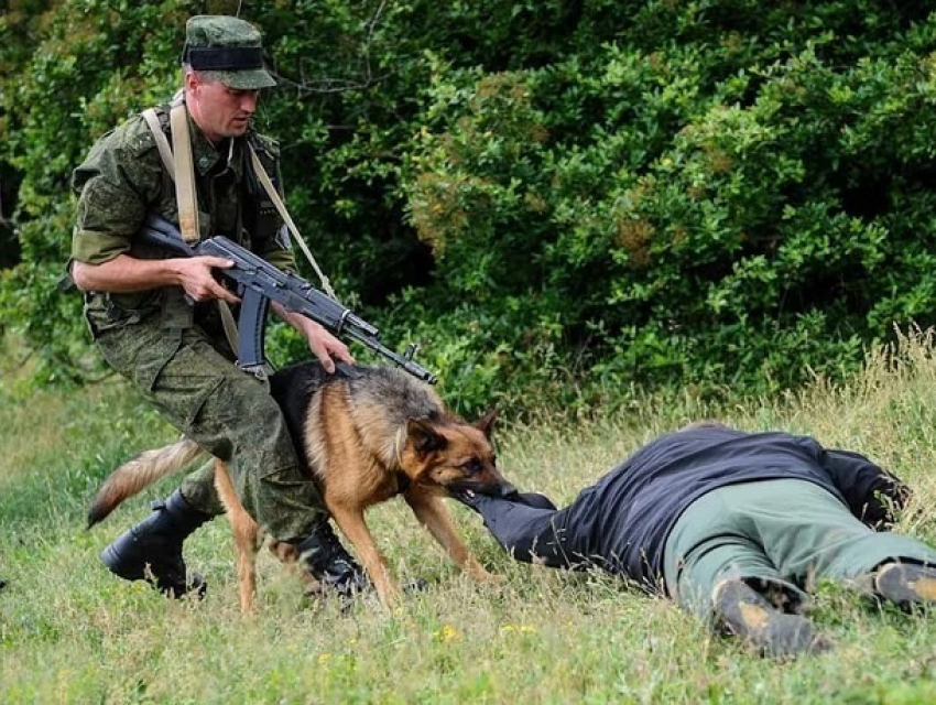 Вор мобильных телефонов из Молдовы попытался уйти пешком в Латвию