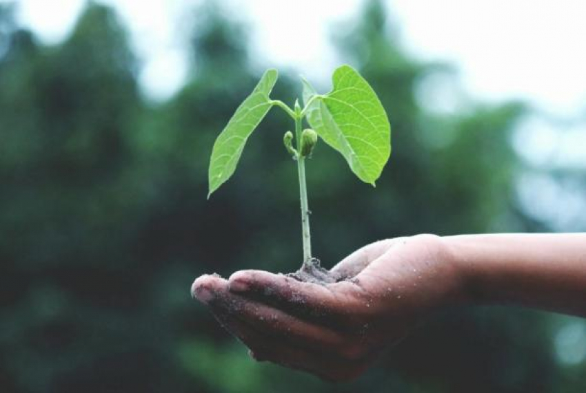 Молдова стала лидером Европы по самым низким выбросам CO₂