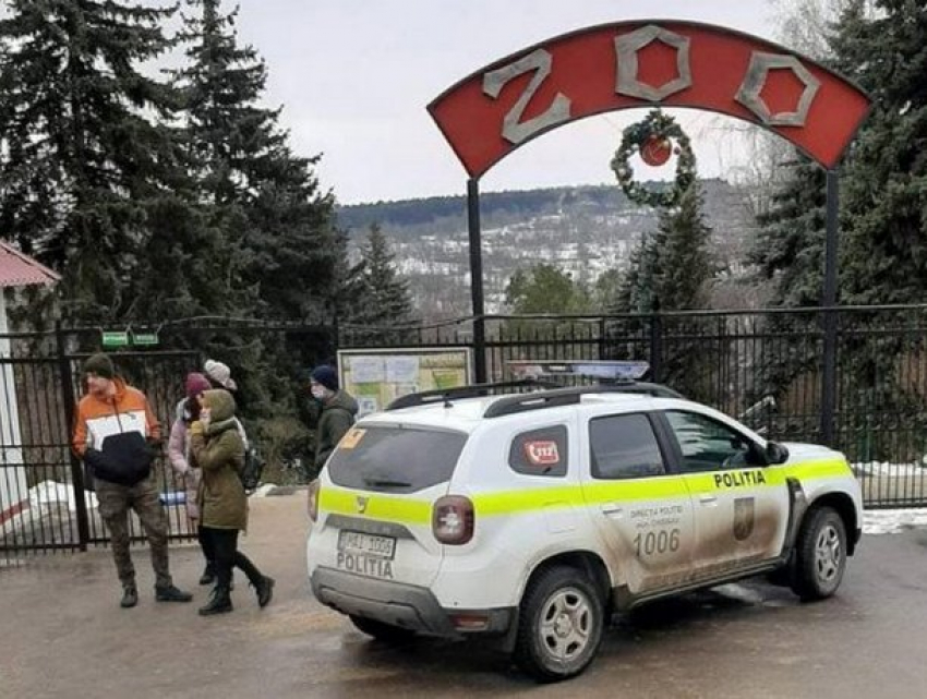 Озвучена вероятная причина нападения тигра на работника кишиневского зоопарка