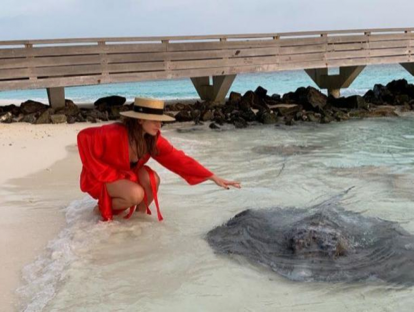 Супруга Шора красиво отдыхает на Мальдивах и познакомилась там с гигантским скатом 