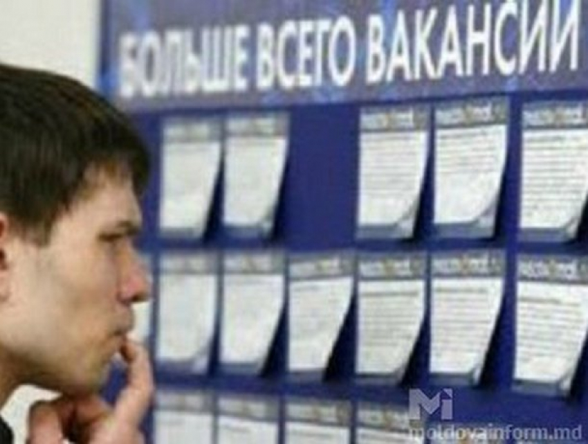 В настоящее время в Молдове доступно более восьми тысяч рабочих мест 