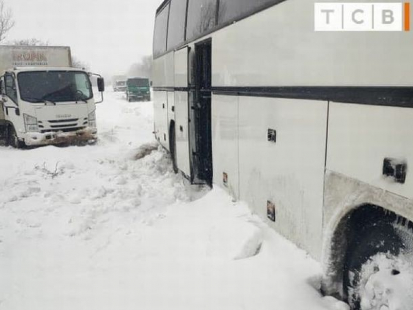 Крик отчаяния с Украины - два молдавских автобуса застряли недалеко от границы, заканчивается дизтопливо