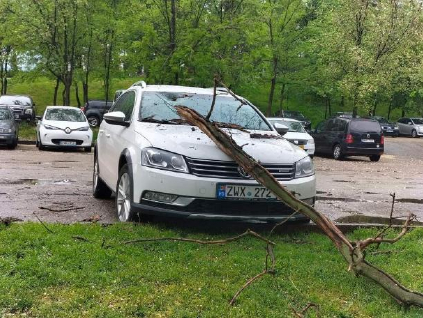 Несколько машин получили повреждения из-за падающих деревьев