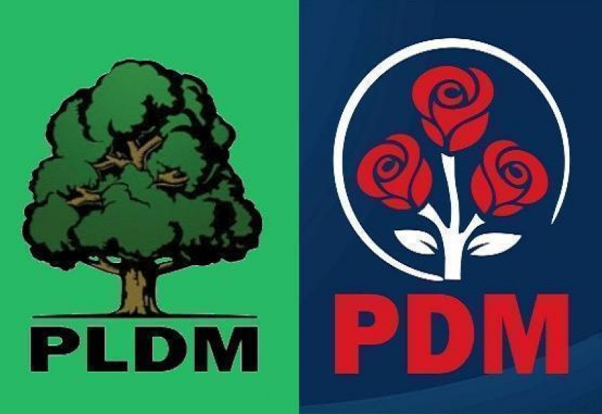 Фракция ЛДПМ может поддержать кандидата в премьеры от Демпартии 