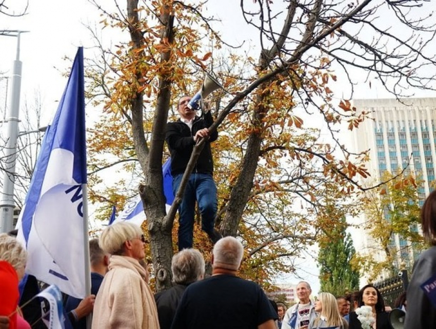 Ждем протестов Иуды, - Цырдя - об Усатом