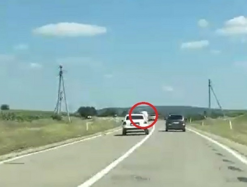 Молдавский лихач на встречной полосе вылез из окна и попал на видео