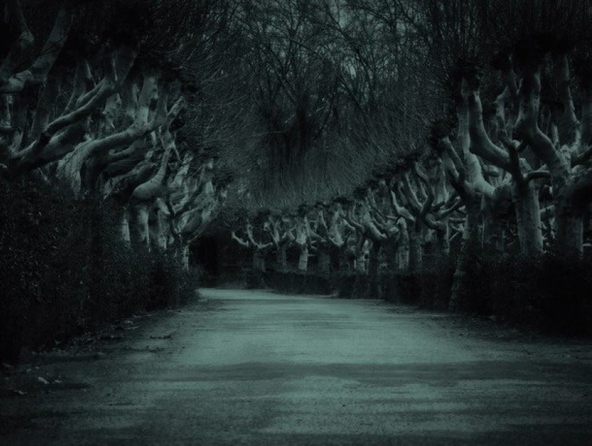 В пятницу, 13-го, Молдова будет окутана туманом: объявлен желтый код предупреждения