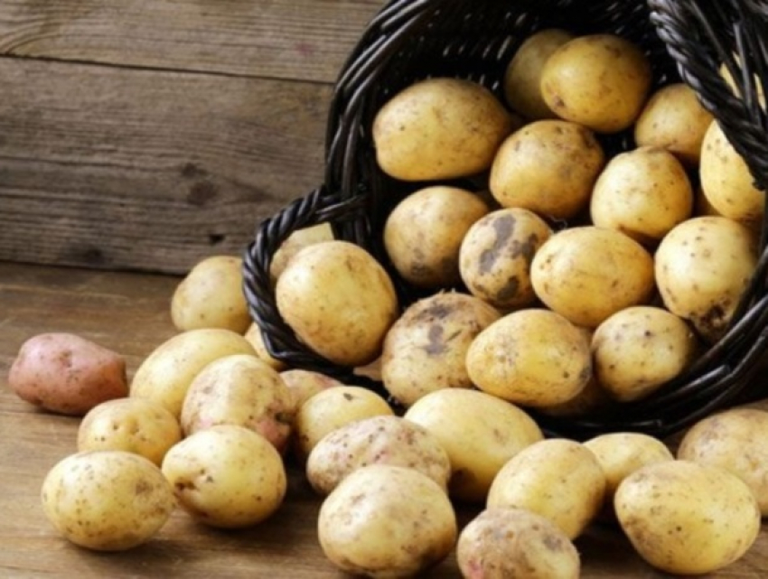 В Молдове становится все меньше картофеля