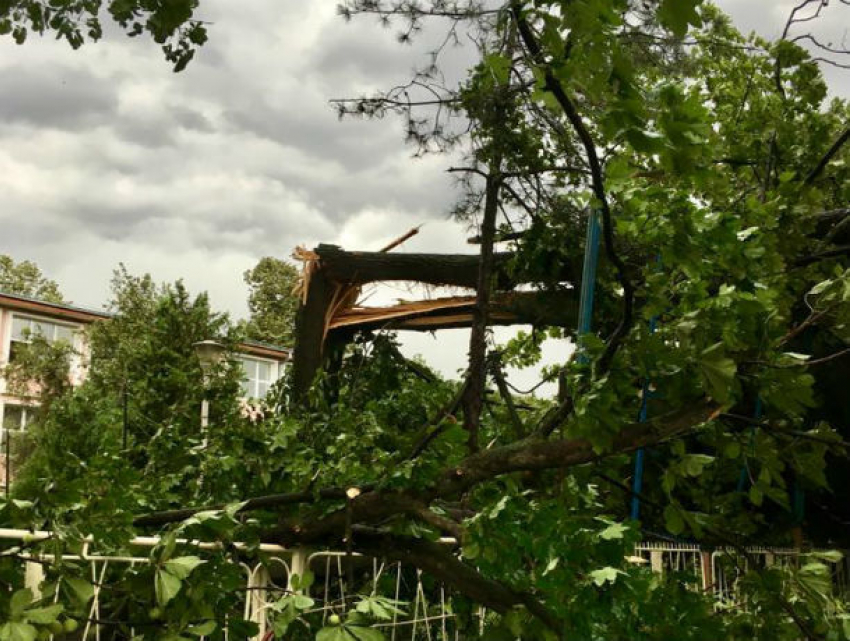 Разбушевавшийся ураган в Кишиневе срывал крыши и валил деревья