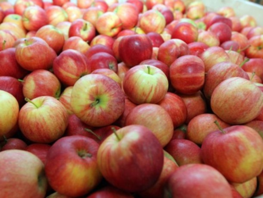 Оптовые цены на яблоки - росту нет начала, росту нет конца