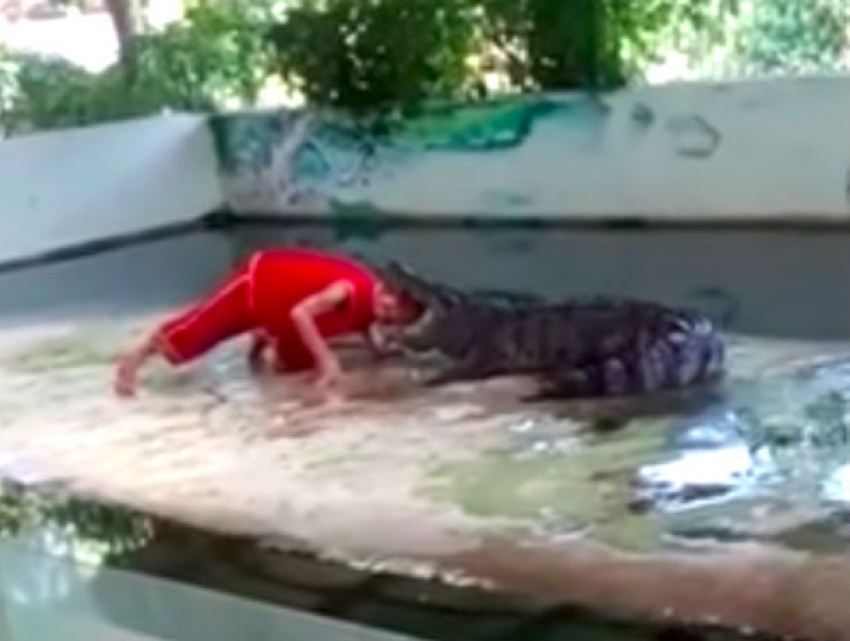 Шокирующее видео: крокодил прокусил голову дрессировщику на знаменитом шоу
