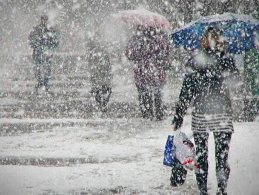Экспертное мнение: почему в Молдове нет снега?