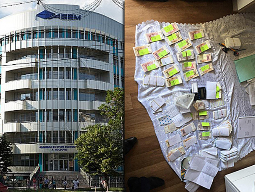 Шестерых преподавателей и трех посредников задержали в ходе обысков в Экономической академии