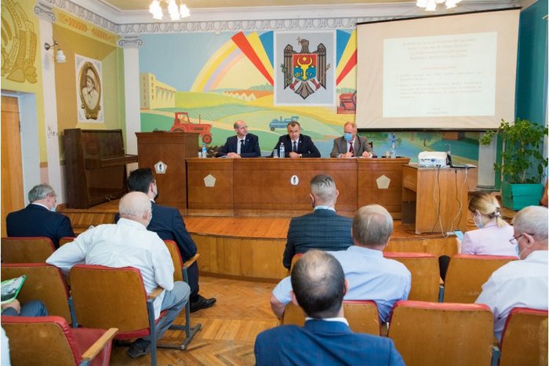 Кику1.jpg