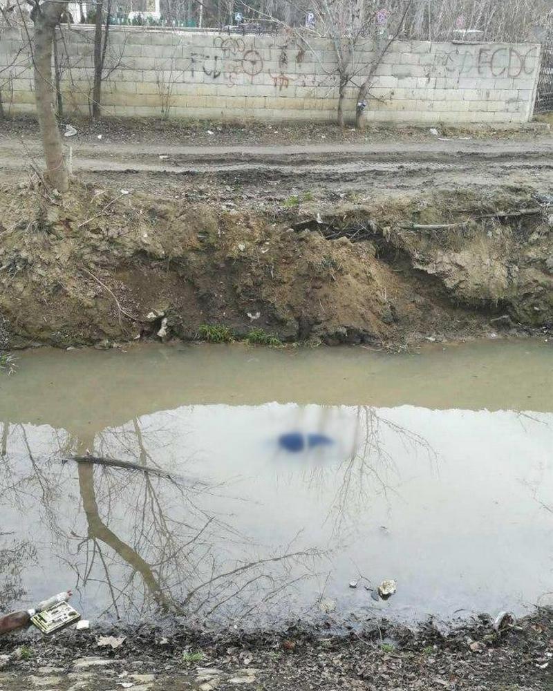 труп.jpg